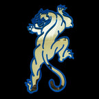Electric Panther Y2K Acrylic Wall Mirror