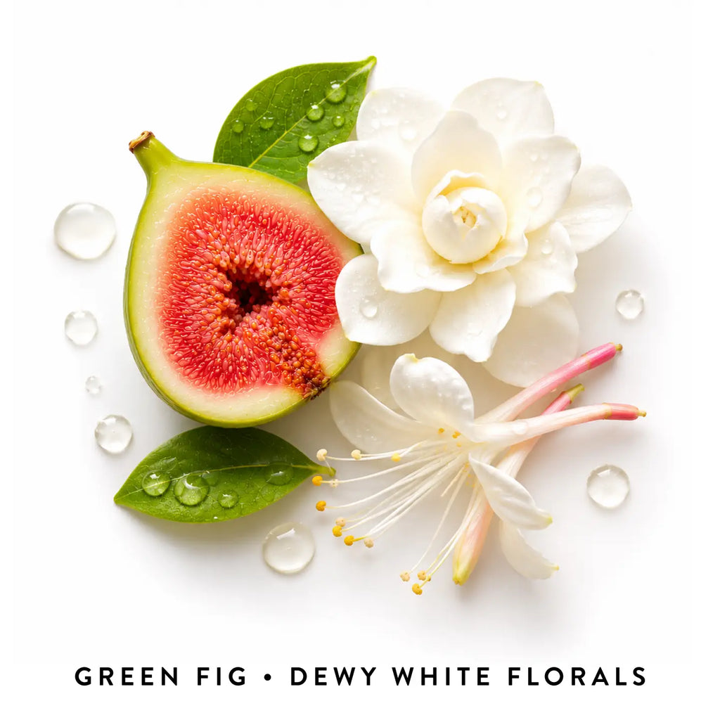 Non-Toxic Perfume | West Clay Company
