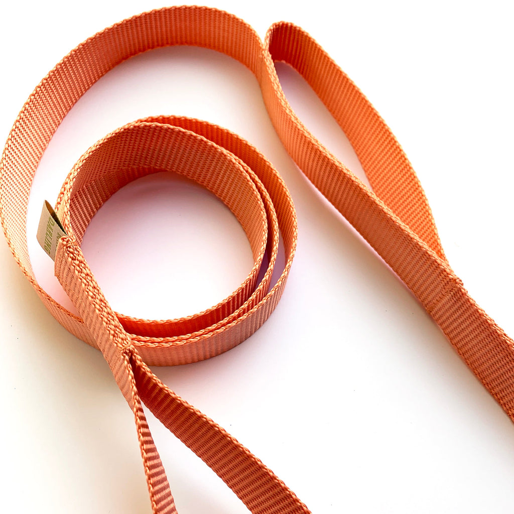 double handle leash / traffic leash Major Darling