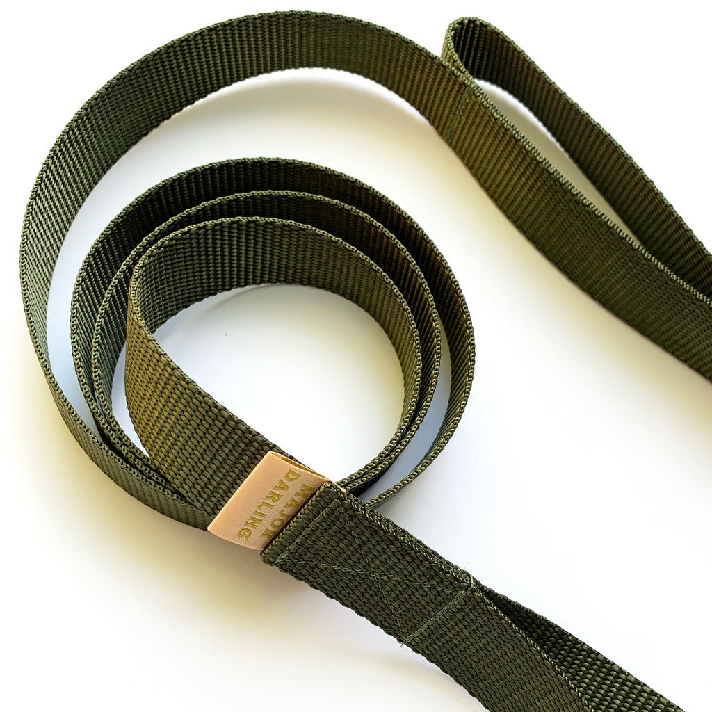 double handle leash / traffic leash Major Darling