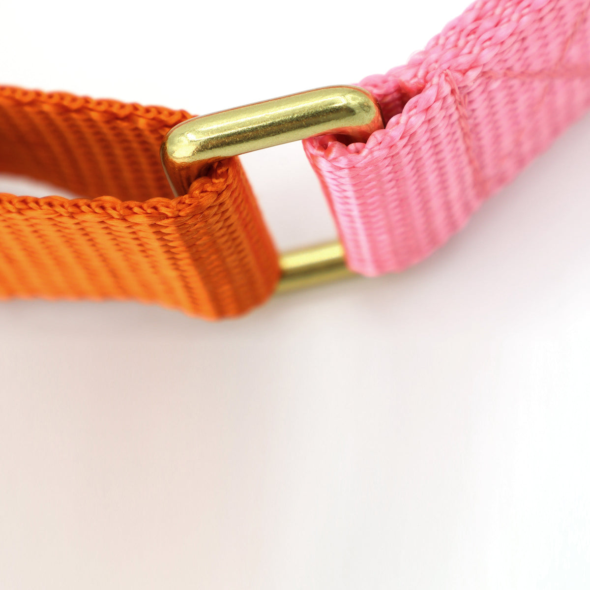 martingale collar / pink + orange Major Darling