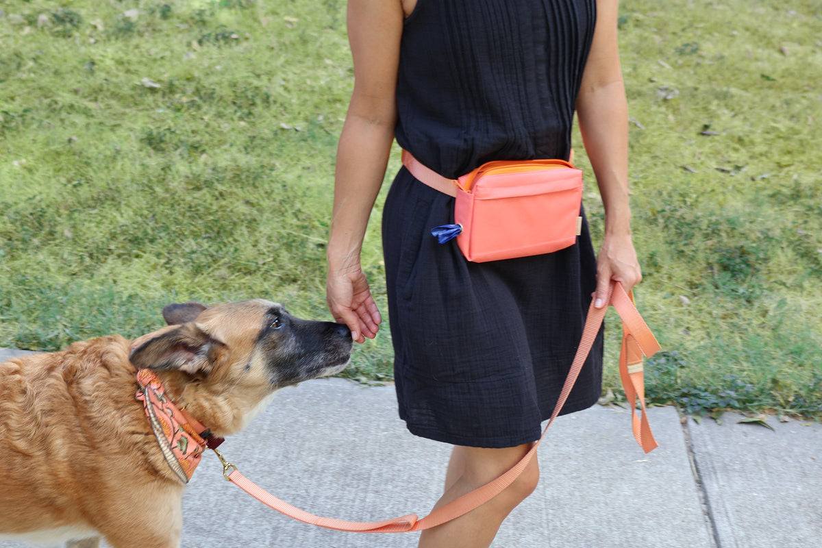 dog walking fanny pack Major Darling