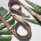 martingale collar / leopard + peach Major Darling