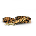not-so-basic leash / leopard Major Darling