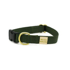 basic snap collar - Poppy & Vine