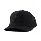 Big Dawg Snapback Hat - Poppy & Vine