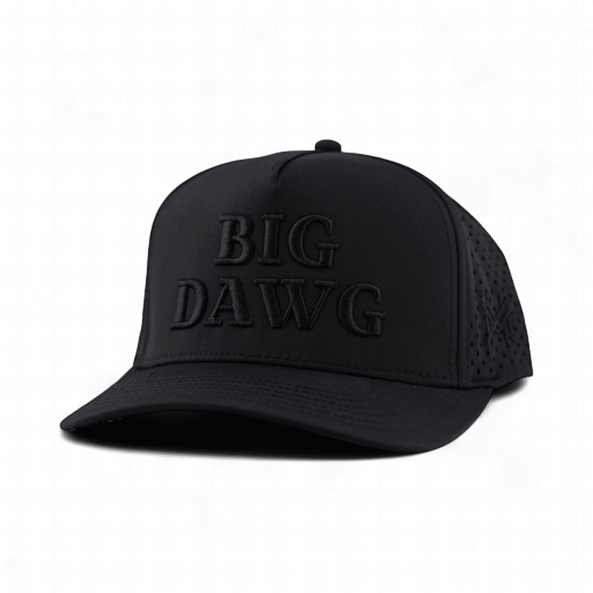 Big Dawg Snapback Hat - Poppy & Vine