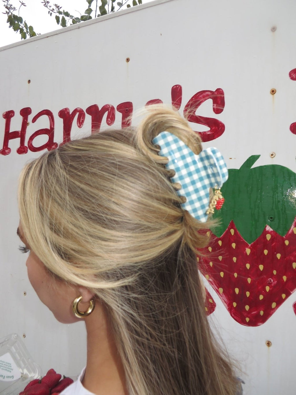BLUE GINGHAM STRAWBERRY CHARM CLAW - Poppy & Vine