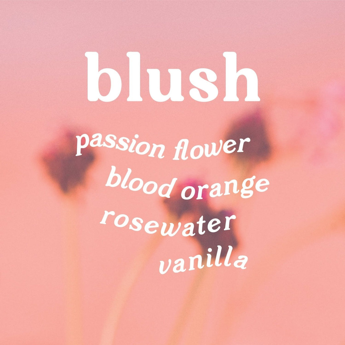Blush 4 oz. Hue Reed Diffuser (Campari Chiffon) - Poppy & Vine