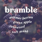 Bramble 4 oz. Hue Reed Diffuser (Blackberry + Rosewood) - Poppy & Vine