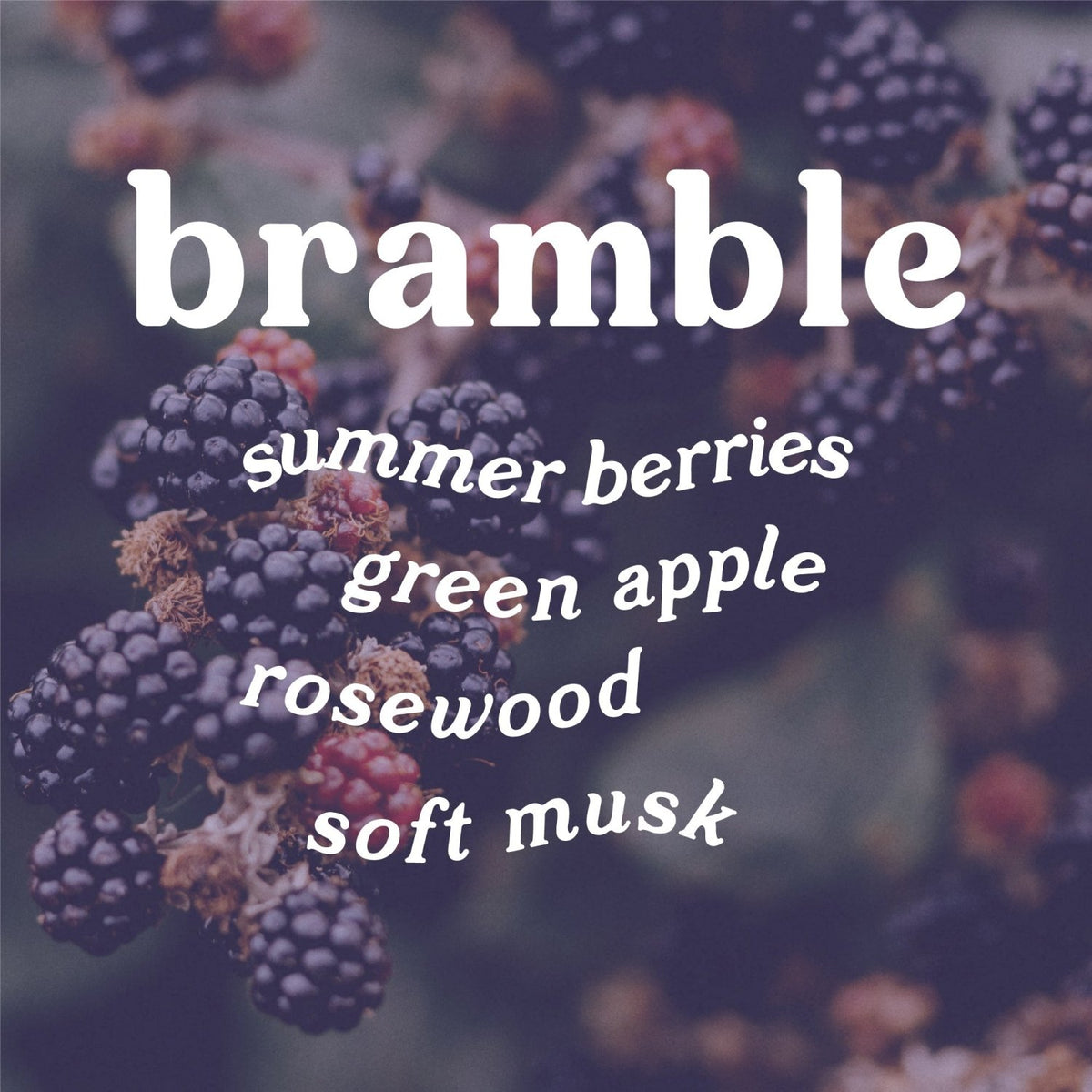 Bramble 4 oz. Hue Reed Diffuser (Blackberry + Rosewood) - Poppy & Vine
