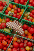 BROWN GINGHAM TOMATO CHARM CLAW - Poppy & Vine