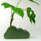 Cloud Propagation - Poppy & Vine