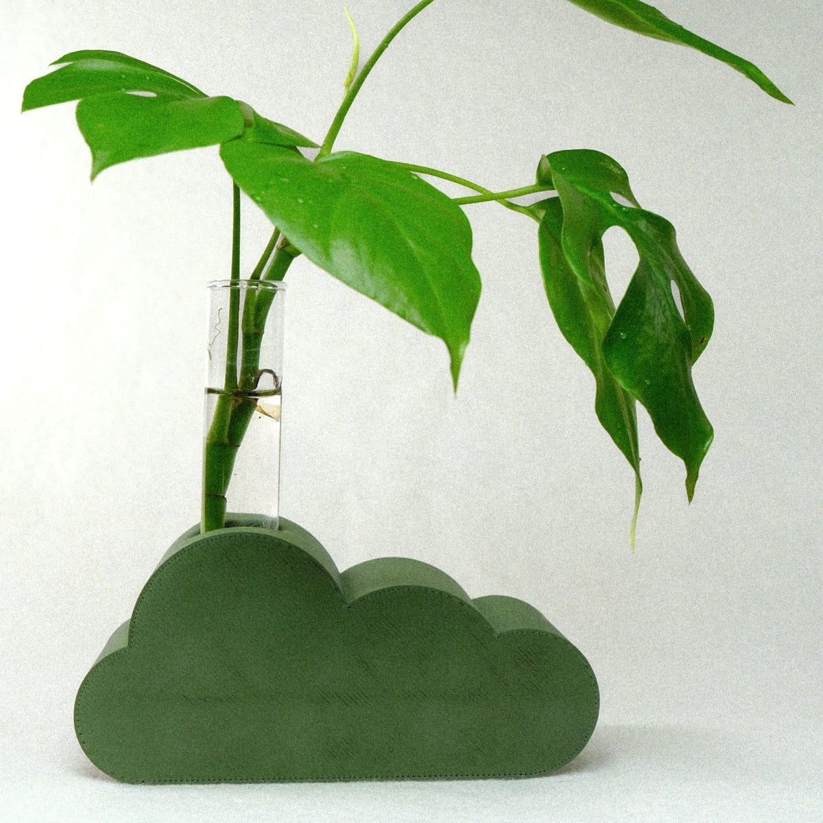 Cloud Propagation - Poppy & Vine