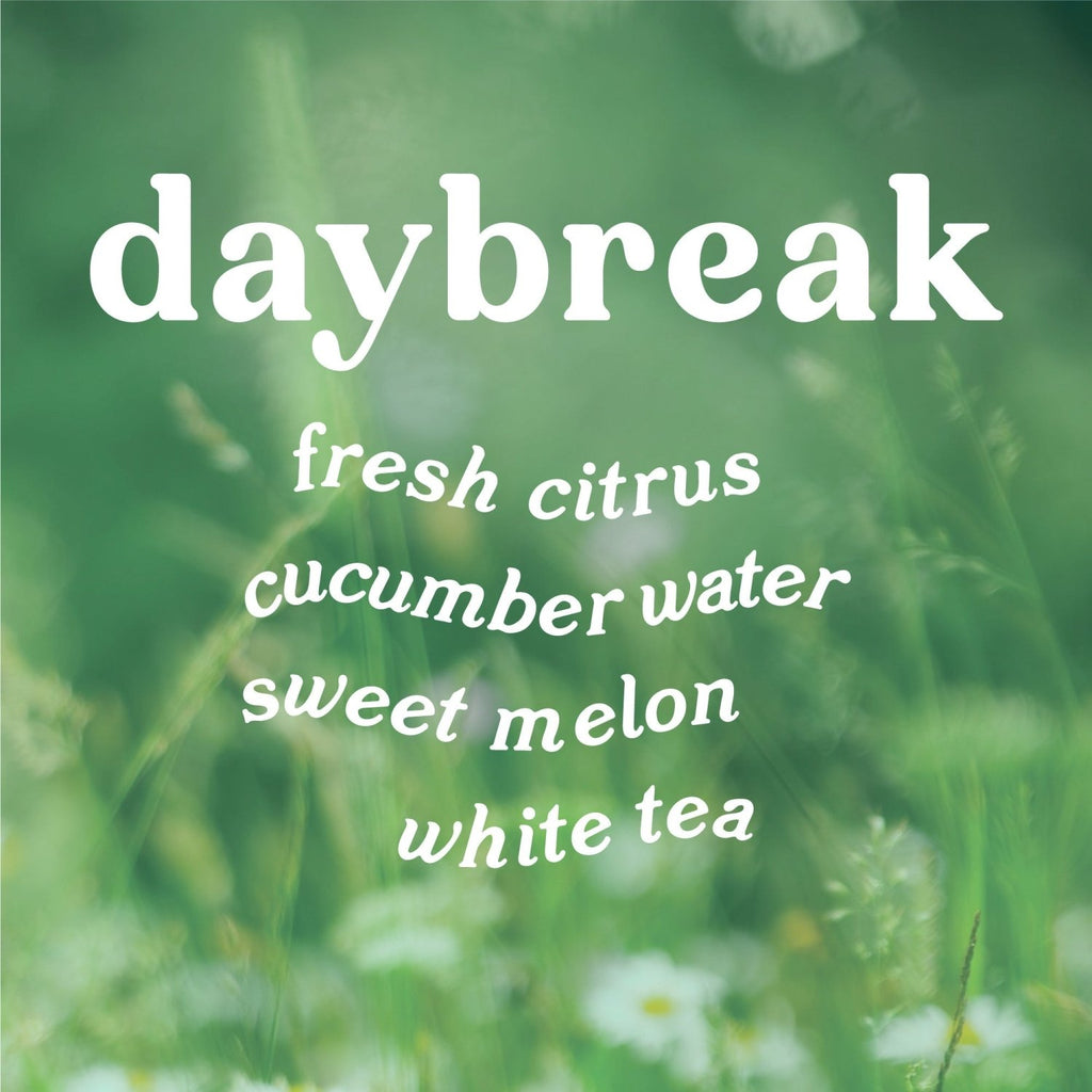 Daybreak 4 oz. Hue Reed Diffuser (Lemon + Cucumber) - Poppy & Vine