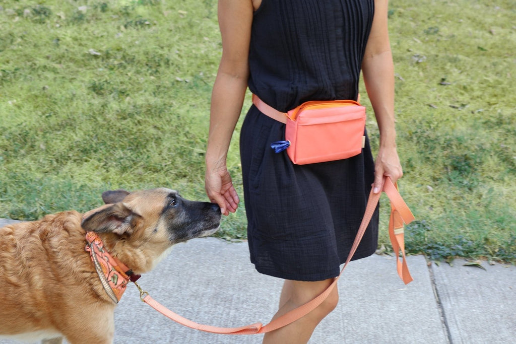 dog walking fanny pack - Poppy & Vine