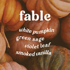 Fable 9 oz. Hue Candle (Pumpkin Sage) - Poppy & Vine