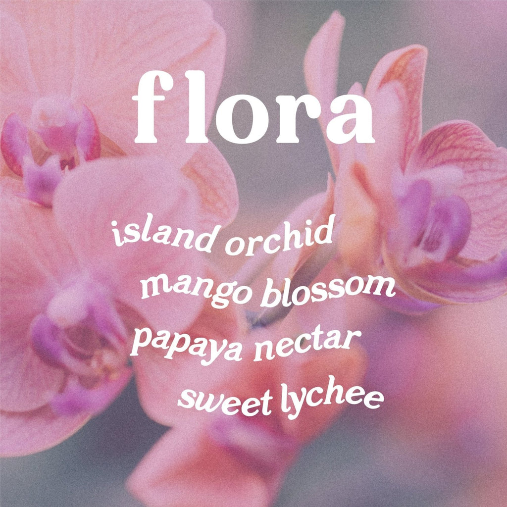 Flora 4 oz. Hue Reed Diffuser (Wild Orchid) - Poppy & Vine