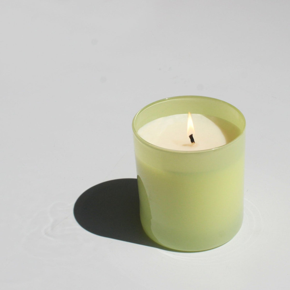 Garden 9 oz. Hue Candle (Tomato Vine) - Poppy & Vine