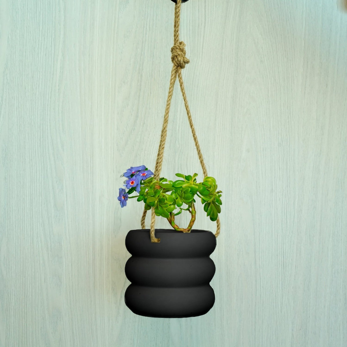 Hanging Bubble Plant Pot - Poppy & Vine