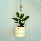 Hanging Bubble Plant Pot - Poppy & Vine
