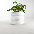 Hanging Bubble Plant Pot - Poppy & Vine