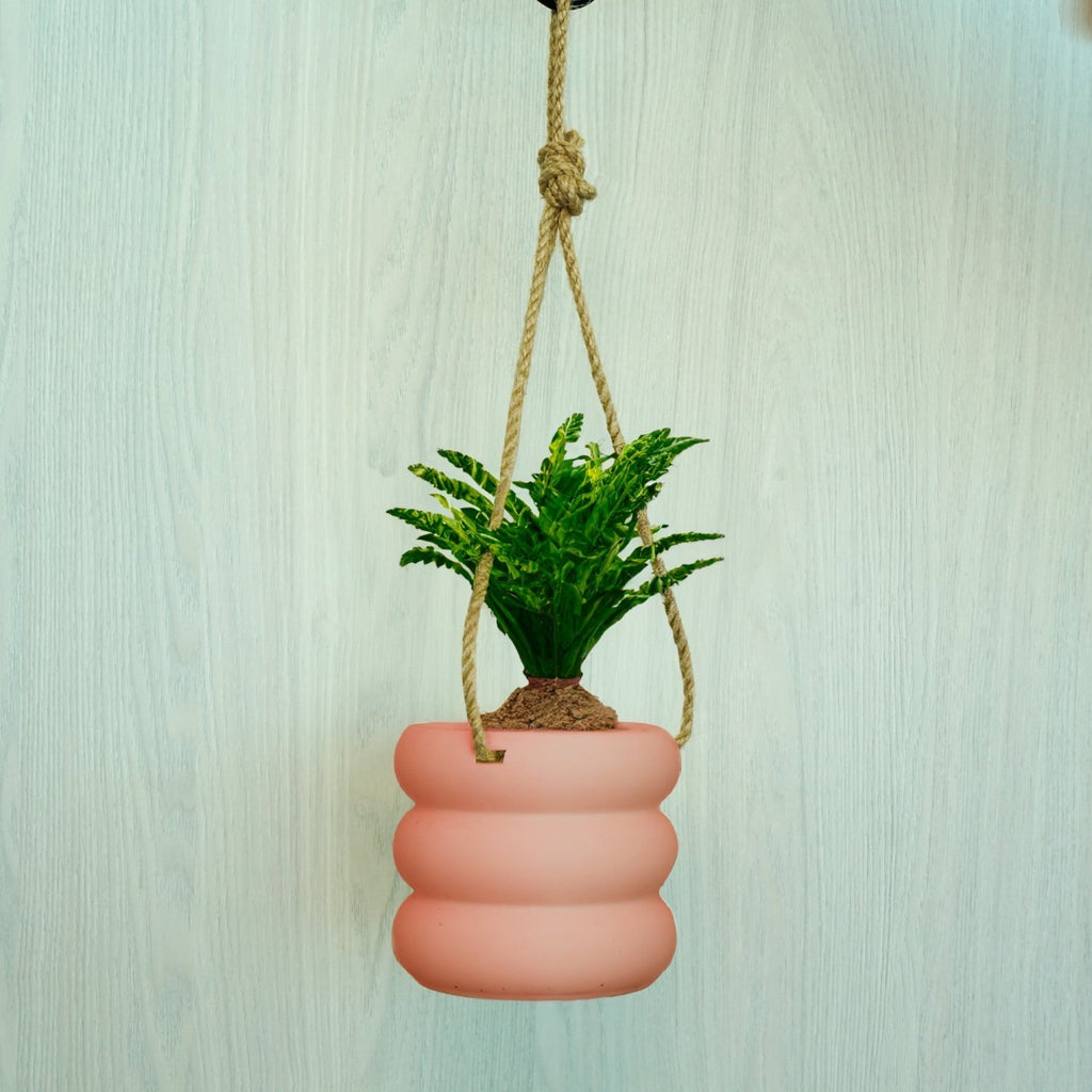 Hanging Bubble Plant Pot - Poppy & Vine