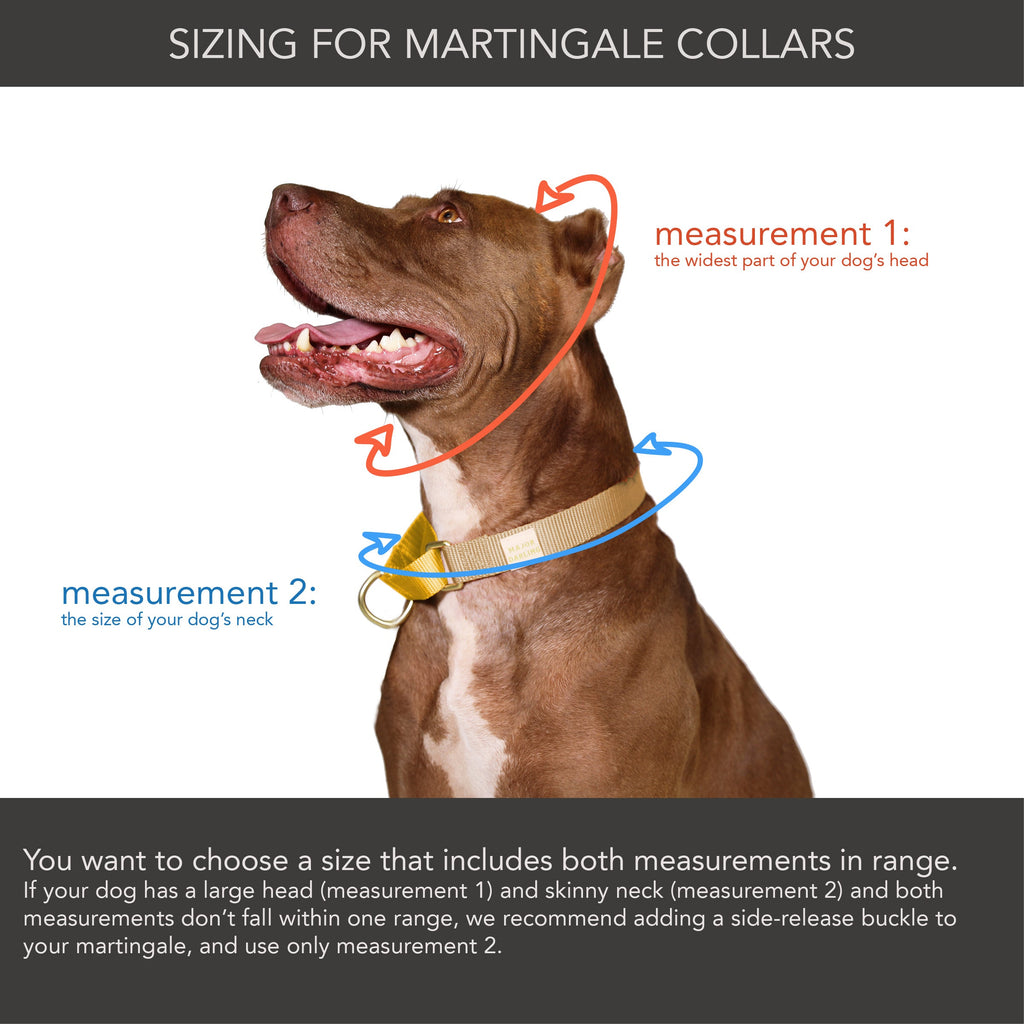 martingale collar / leopard + peach Major Darling