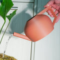 HydraMate Modern Watering Can for Houseplants - Poppy & Vine