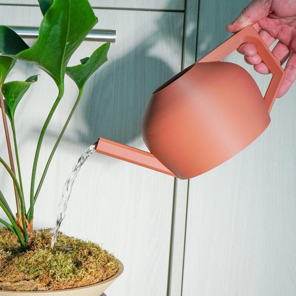 HydraMate Modern Watering Can for Houseplants - Poppy & Vine