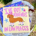 I've Got Friends in Low Places Dachshund Graphic Tee | Western Wiener Dog Shirt | Country Music Inspired Tee - Poppy & Vine