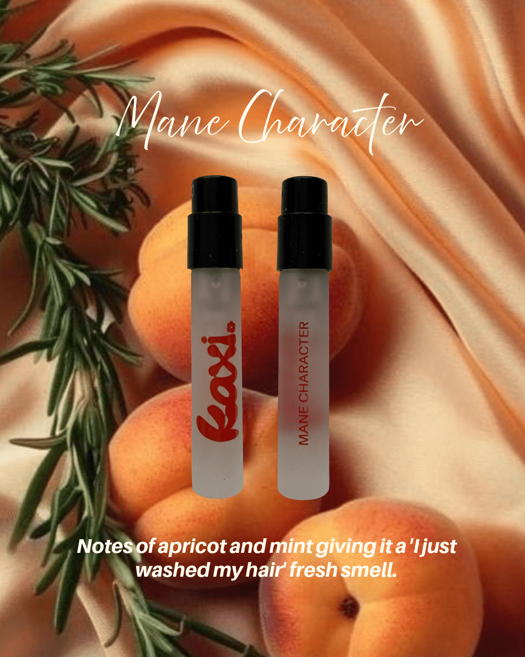 KAXI HAIR PERFUME TRAVEL PACK - Poppy & Vine