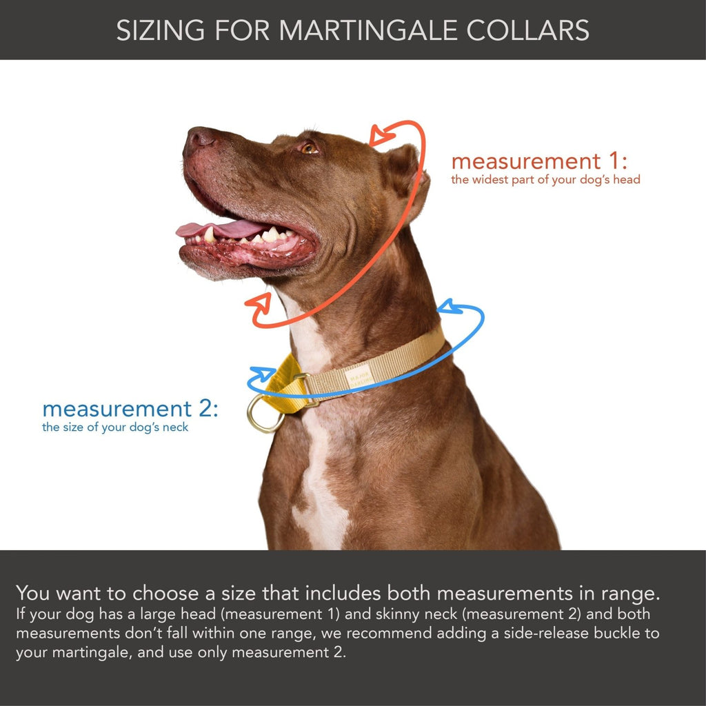 martingale collar / cobalt + navy - Poppy & Vine