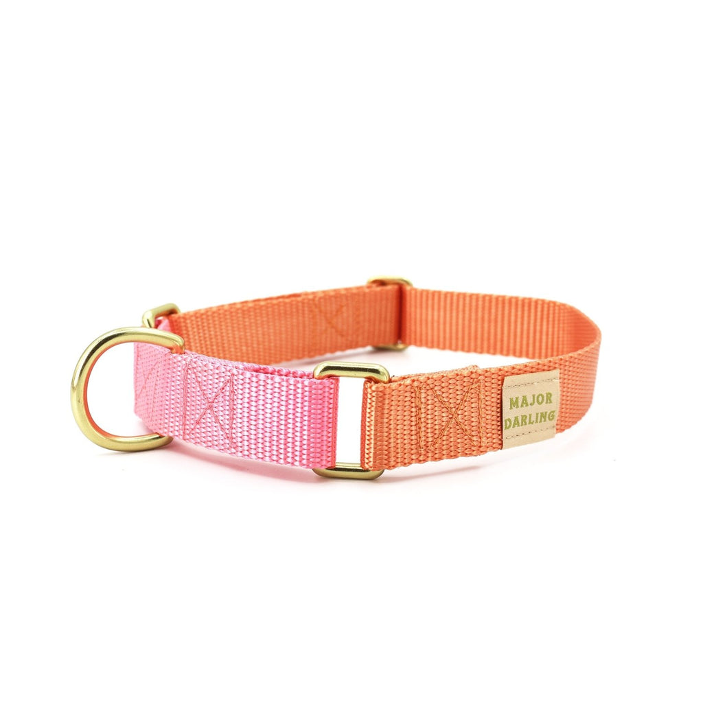 martingale collar / peach + pink - Poppy & Vine