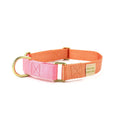 martingale collar / peach + pink - Poppy & Vine