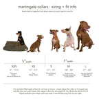 martingale collar / pink + orange - Poppy & Vine