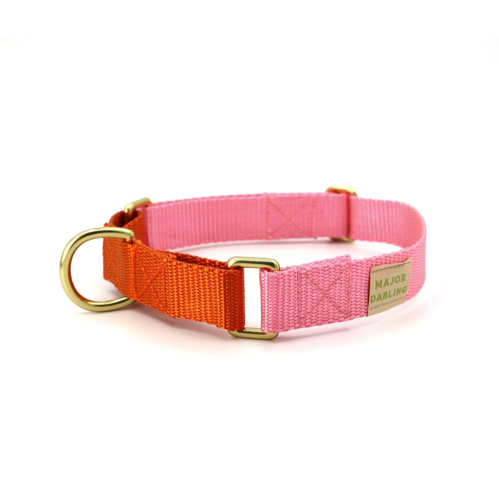 martingale collar / pink + orange - Poppy & Vine