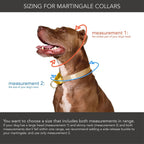 martingale collar / rose + grape / limited edition - Poppy & Vine