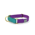 martingale collar / violet + teal - Poppy & Vine