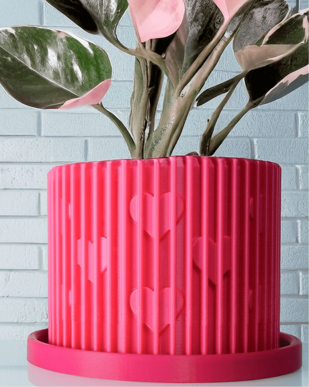 Modern Heart-Shaped Planter with Drainage & Saucer – Unique Valentine’s Day Gift for Plant Lovers, 3d Printed Planter Home Hosting Decor, - Poppy & Vine