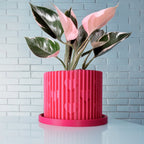 Modern Heart-Shaped Planter with Drainage & Saucer – Unique Valentine’s Day Gift for Plant Lovers, 3d Printed Planter Home Hosting Decor, - Poppy & Vine