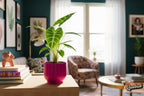 Modern Indoor Planter with Drainage – 3D Printed Fluted Plant Pot, Vertical Ribbed Design, Minimalist Decor Accent, Mid-Bubble - Poppy & Vine