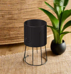 Nordic Rainbow Planter - Poppy & Vine