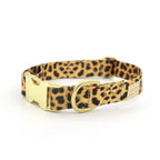 not-so-basic snap collar / leopard - Poppy & Vine