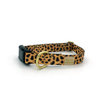 not-so-basic snap collar / leopard - Poppy & Vine