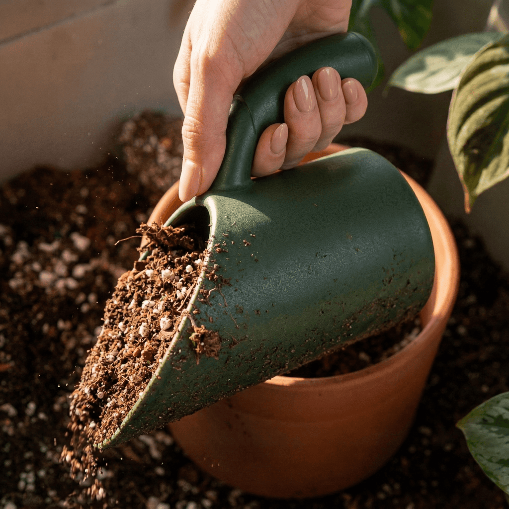 Plant Soil Scoop - Poppy & Vine