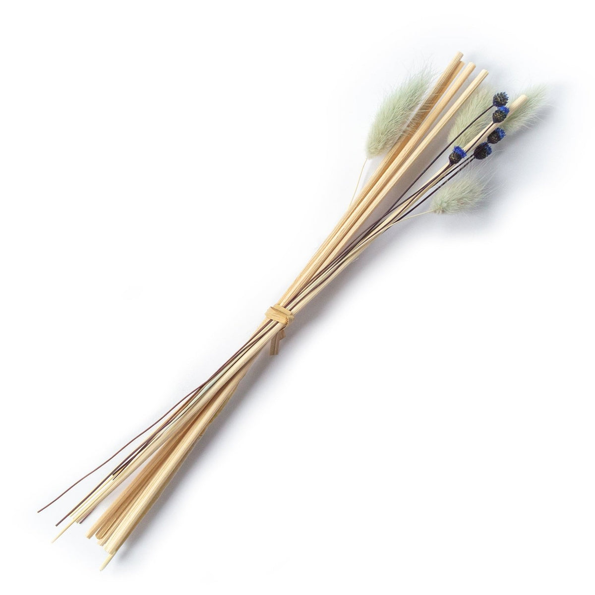 Reed Bundle - Natural Botanical - Poppy & Vine