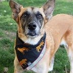 reversible bandana / cheetahs + stripes - Poppy & Vine