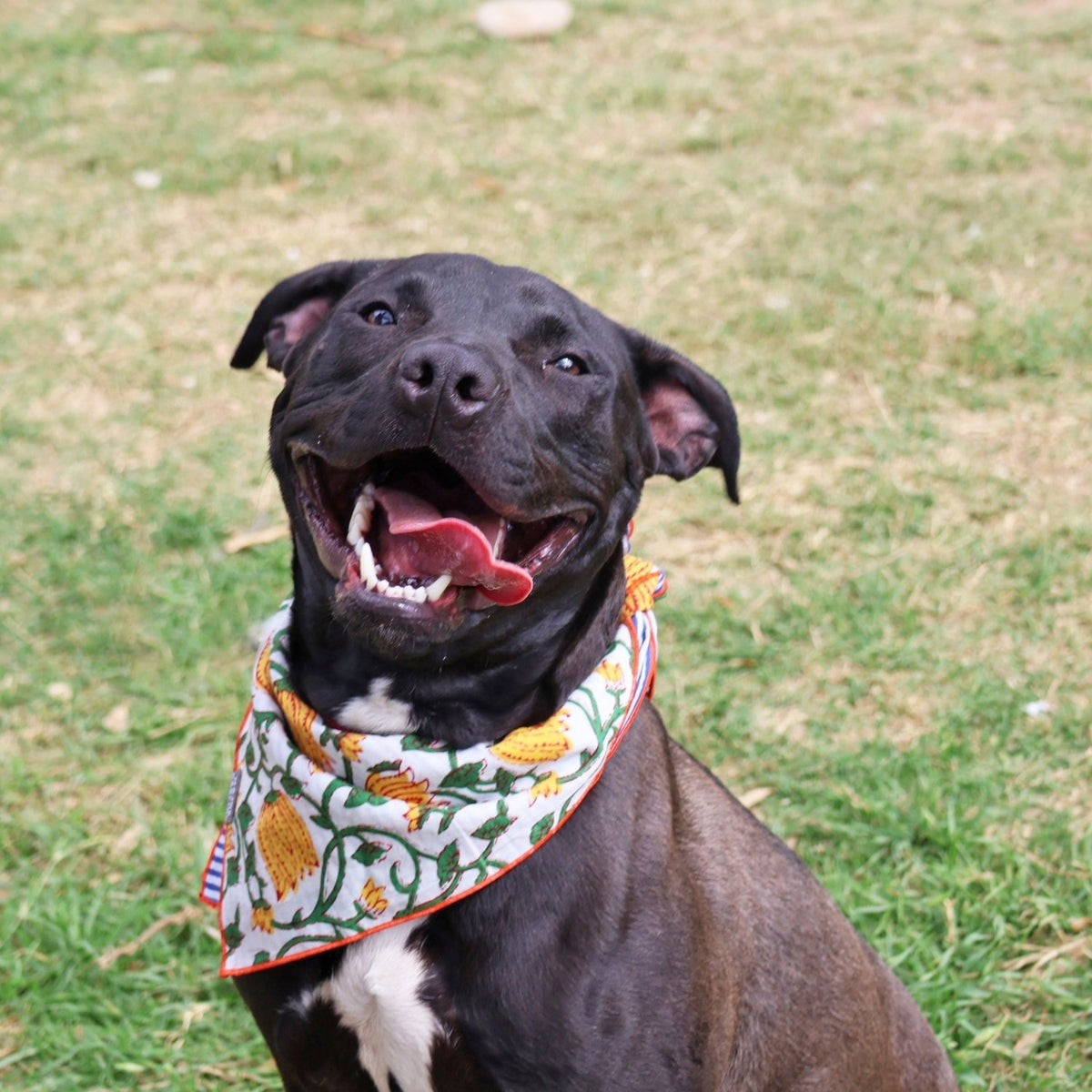 reversible bandana / floral vines - Poppy & Vine
