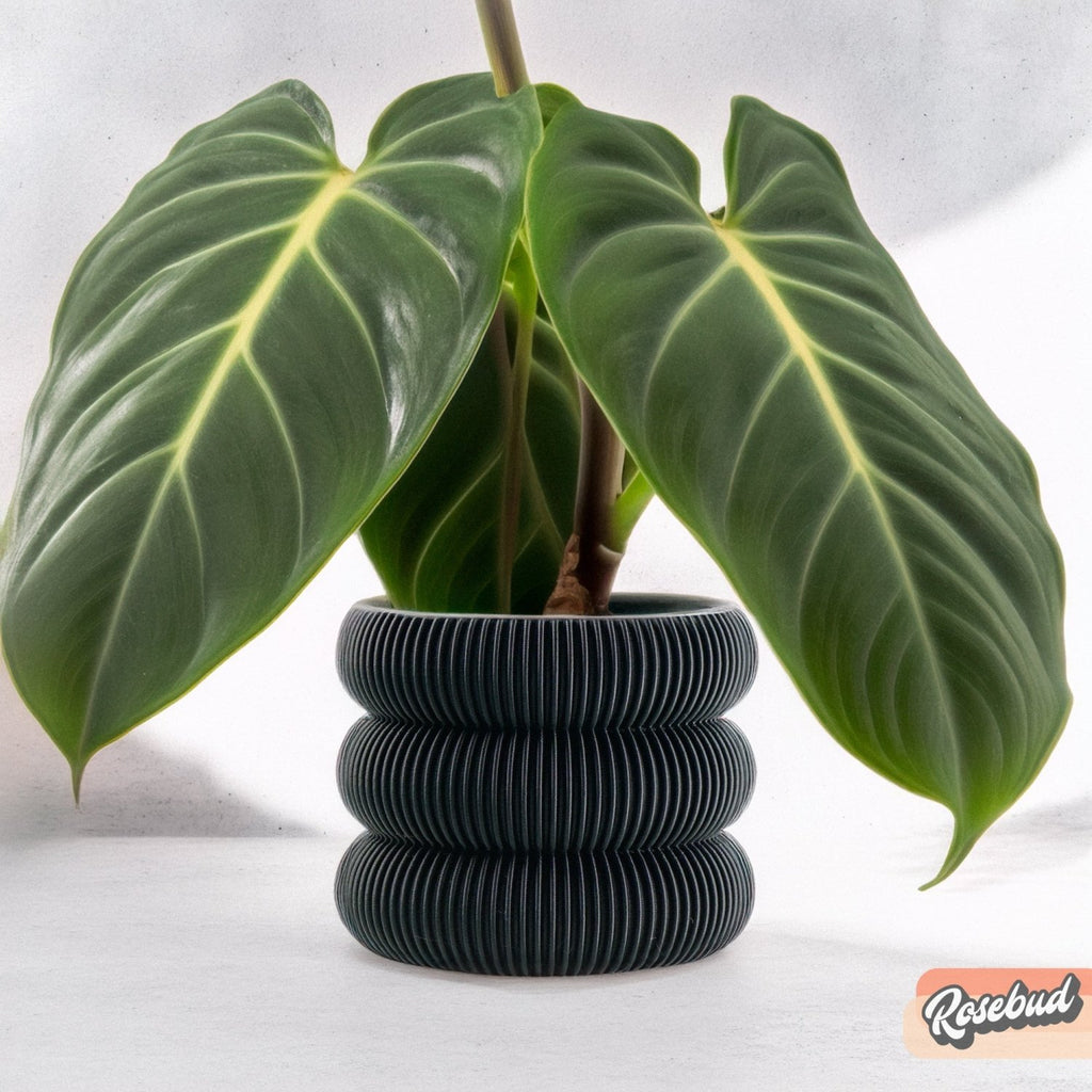 Ribbed Bubble Plant Pot With Drainage and Saucer - Poppy & Vine